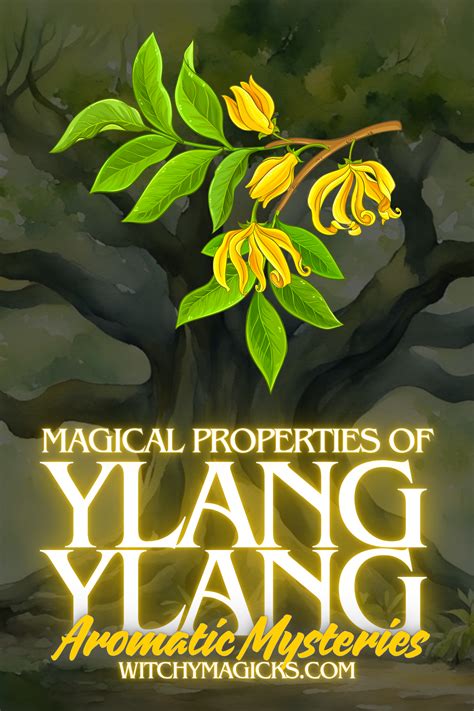 Uncovering the Enchanting Powers of Ylang Ylang: Explore Its Magical Properties for Inner Peace and Tranquility