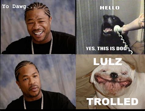 Yo Dog Meme