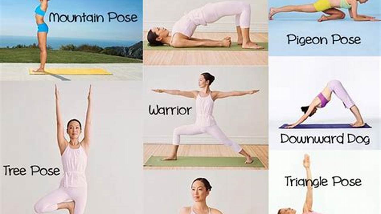 Unveiling the Secrets of Yoga: A Beginner's Guide to Yoga Positions