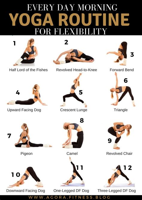 Yoga Daily Routine