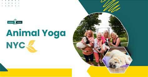 Yoga With Animals Nyc