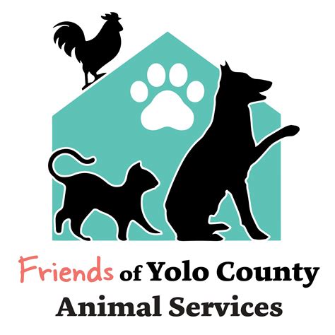 Yolo County Animal Shelter Volunteer