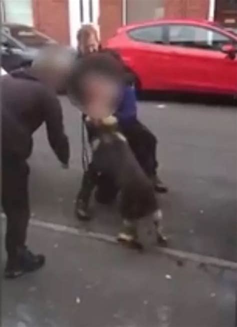 York County Animal Control Officer Bites Suspect