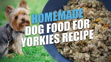 Yorkie Homemade Dog Food Recipes