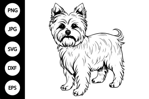 Unleash Your Creativity with Yorkie SVG Free - Pawsome Designs for Your Next Craft Project!