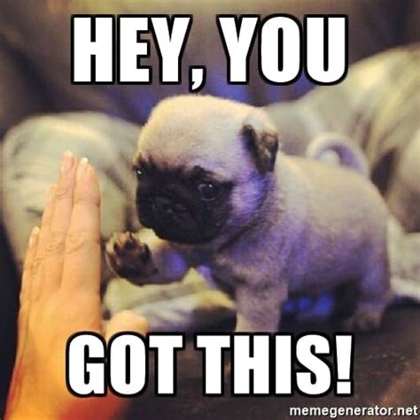 You Got This Meme Cute