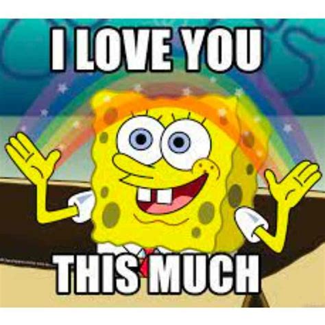 You Love You Meme
