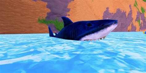 You Met The Shark - Roblox