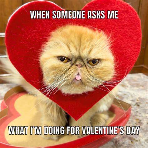 You Valentines Memes