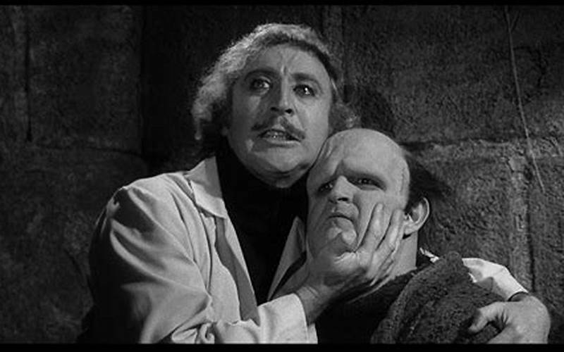 Young Frankenstein Comedy