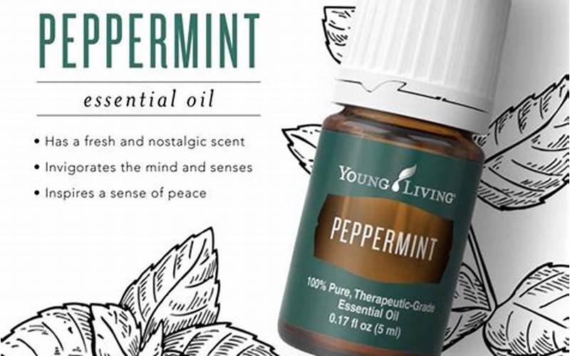 Young Living Peppermint For Headaches