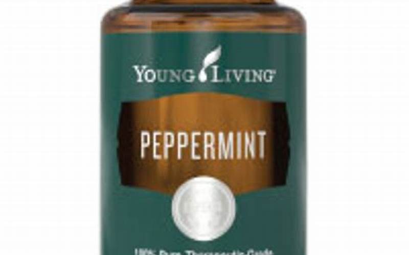 Young Living Peppermint Plant