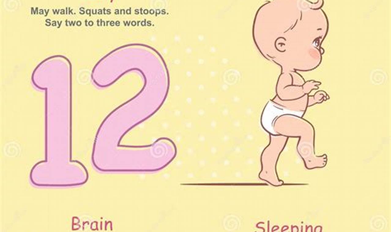 Your Baby's Growth: 12 Months