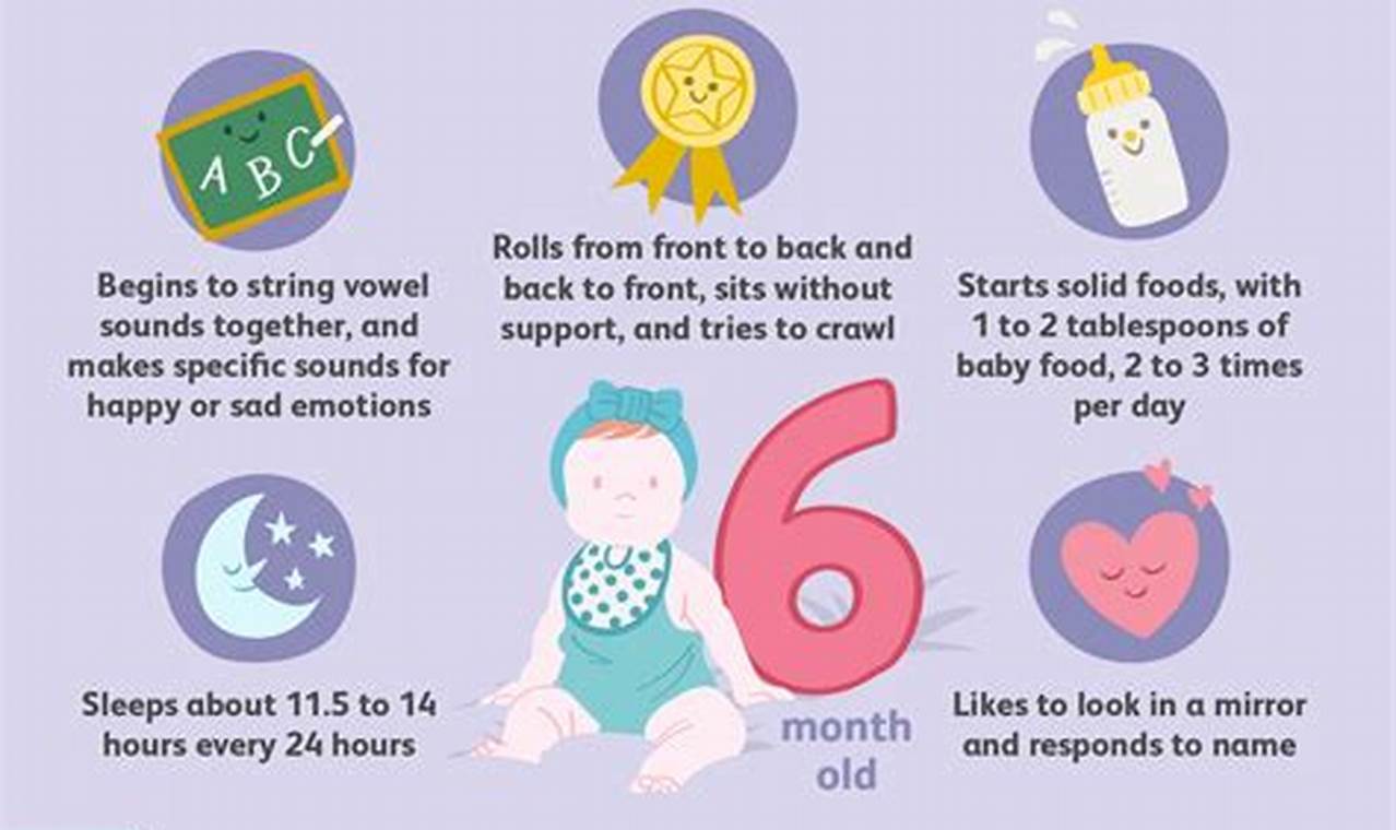 Your Baby's Growth: 6 Months