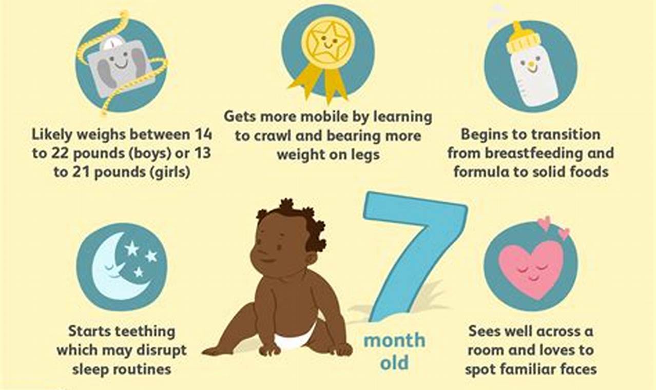 Your Baby's Growth: 7 Months