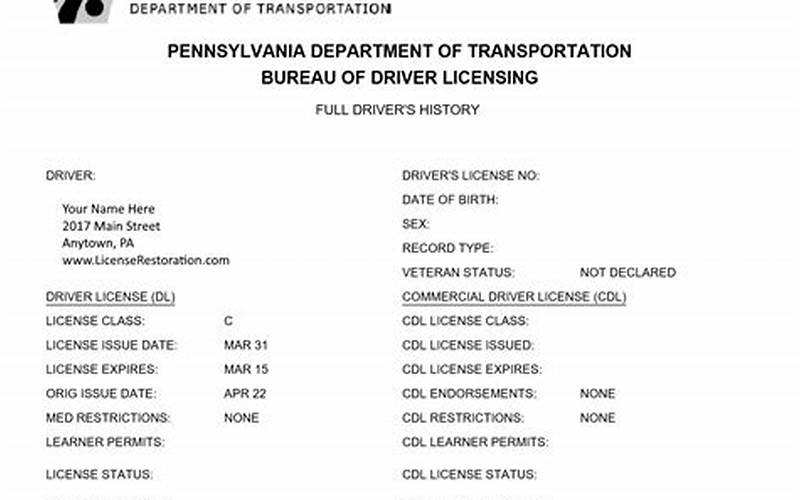 Your Driving Record