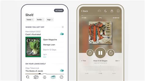 Your Local Library: Libby and OverDrive