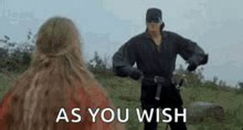 Your Wish Is My Command Princess Bride