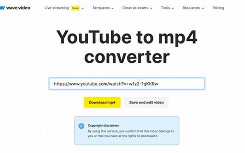 Youtube To Mp4 Converter Interface