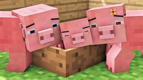 Youtube Minecraft Pig Life