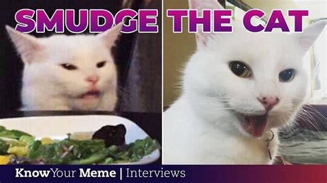 Youtube Smudge Cat Meme