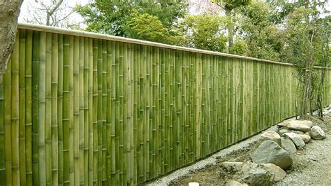 Yuk Lihat! Cara Membuat Pagar Bambu Untuk Kebun Agar Tampil Natural