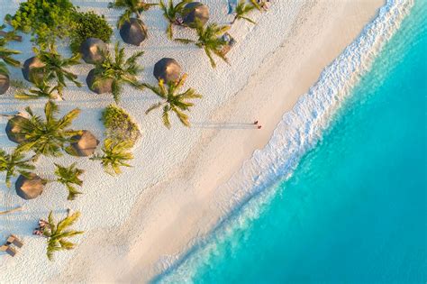 Zanzibar Beach View