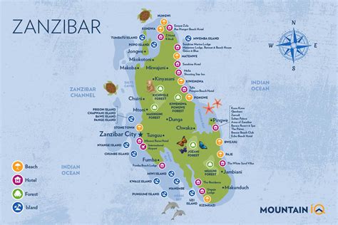 Zanzibar Island Activities