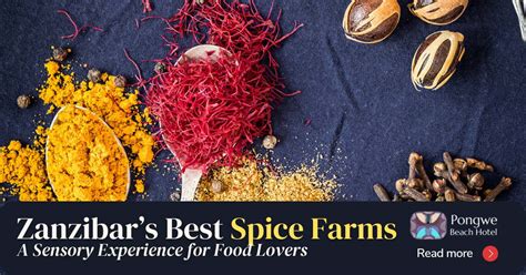 Zanzibar Spice Smells