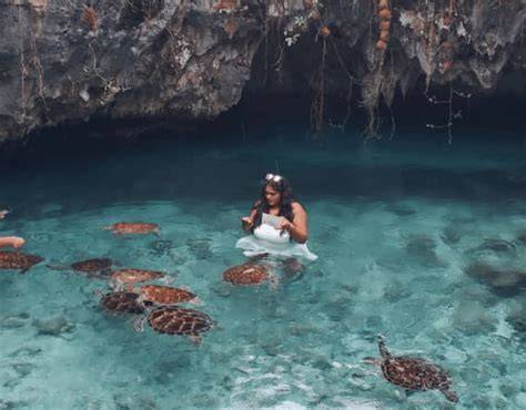 Zanzibar turtle lagoon