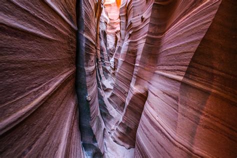 Zebra Canyon Tour Operator