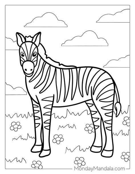 Zebra Coloring Pages Easy