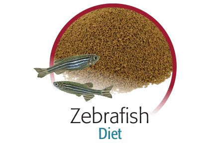 Zebra Fish Diet