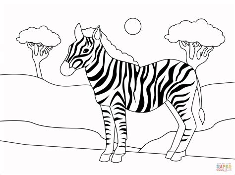 Zebra Tegninger