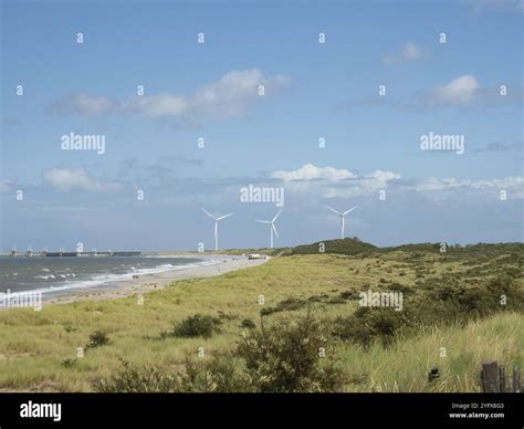 Zeeland Landscape