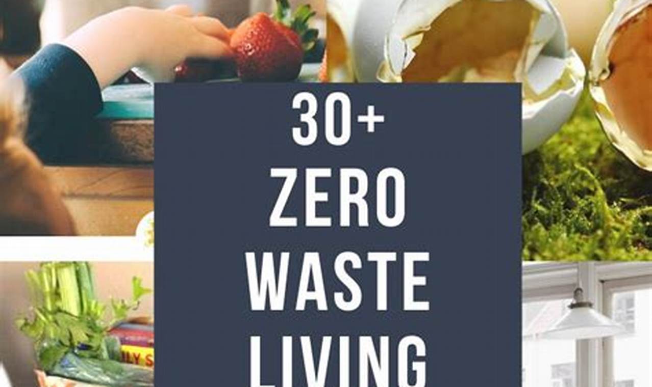 Zero-waste living tips for an eco-friendly lifestyle
