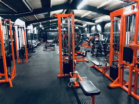 Zeus Gym: Build Strength & Power Workout Routine Example