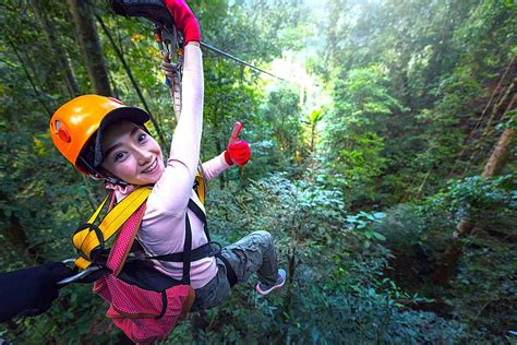 Zip Lining Experience Details