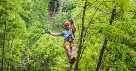 Zipline views canopy