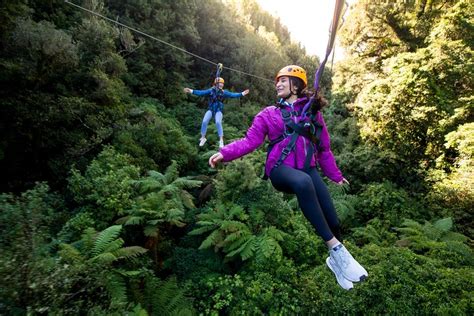 Ziplining Canopy Tour