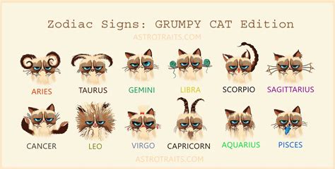Zodiac Signs Grumpy Cat Memes