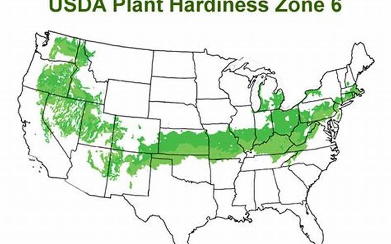 Zone 6B Planting Map