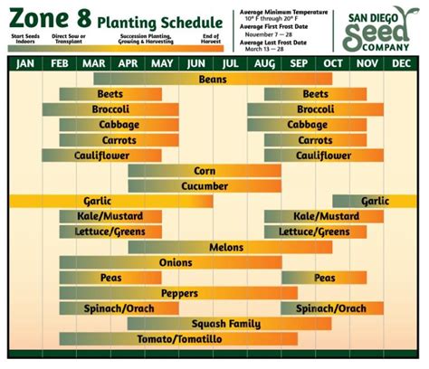 Zone 8a Vegetable Planting Calendar