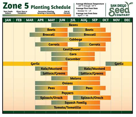 Zone 5b Vegetable Planting Calendar