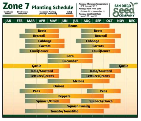 Zone 7b Planting Calendar