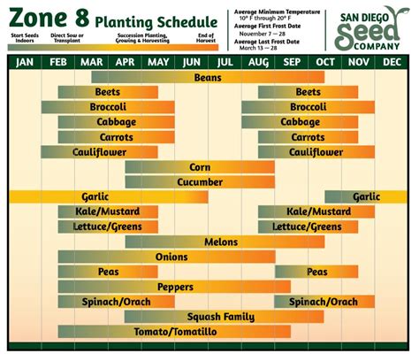 Zone 8 Vegetable Planting Calendar