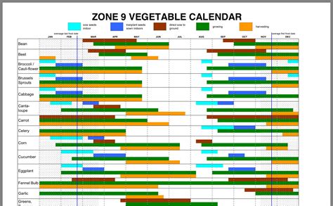 Zone 9 Vegetable Planting Calendar