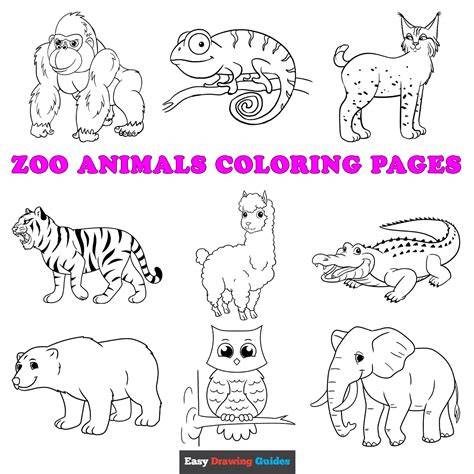 Zoo Animals Color Pages