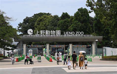 Zoo In Japan