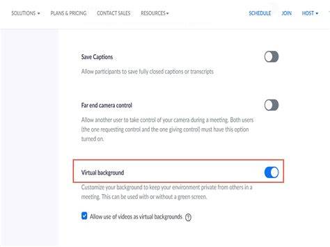Zoom Does Not Have Virtual Background Option